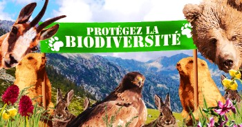 biodiversit&eacute; et protection des espaces naturels